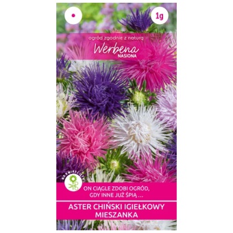 WERBENA ASTER IGIEŁKOWY MIX 1G