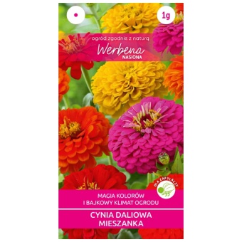 WERBENA CYNIA DALIOWA MIX 1G