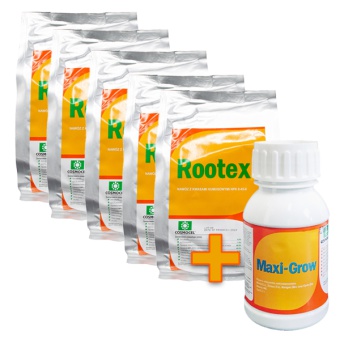 ROOTEX 1KG x 5 szt. + Maxi Grow 0,25L gratis