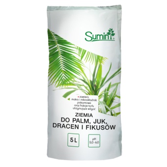 ZIEMIA DO PALM 5L SUMIN 