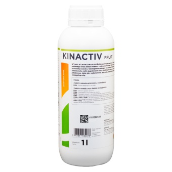 KINAKTIV FRUIT 1L