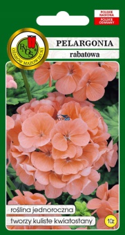 PELARGONIA RABATOWA F1 ŁOSOSIOWA 10Z NASIONA PNOS