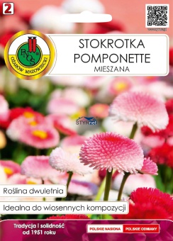 STOKROTKA POMPONETTE MIESZANA NASIONA MIX 1g PNOS