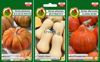 PNOS DYNIA PIŻMOWA MIX BUTTERNUT UCHIKI NASIONA