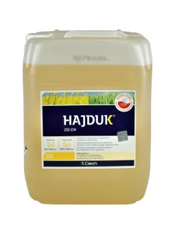 Hajduk 250 EW 20L