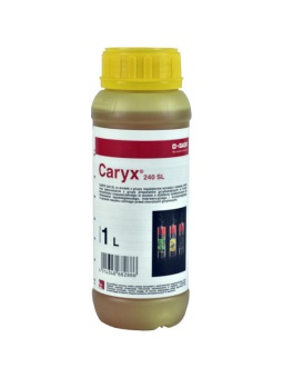 Caryx 240 SL - opak. 1 L