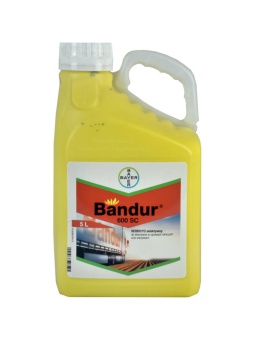 Bandur 600 SC 5L