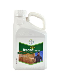 Ascra Xpro EC 260 5L